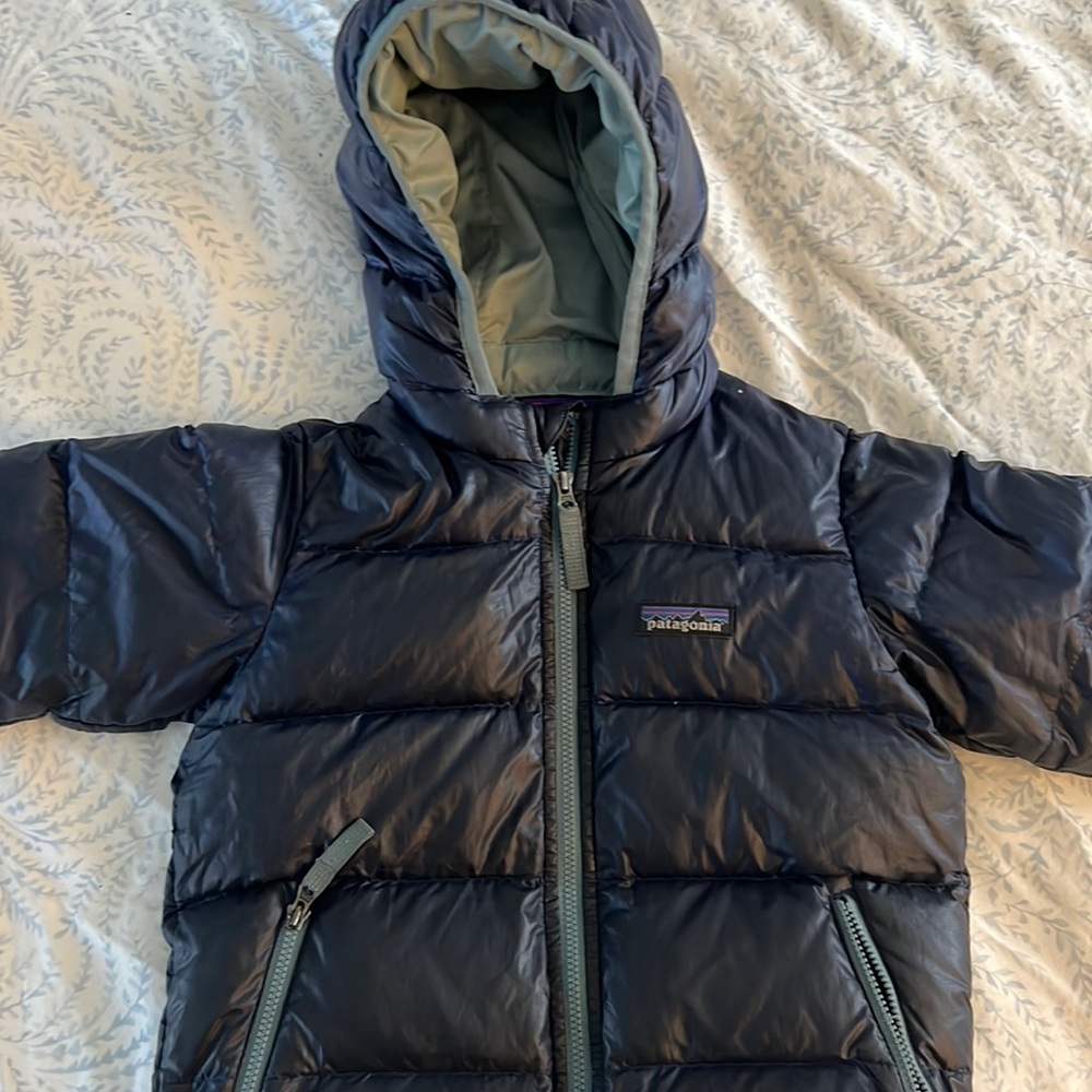 Patagonia Hi-Loft Down Hoody 3T